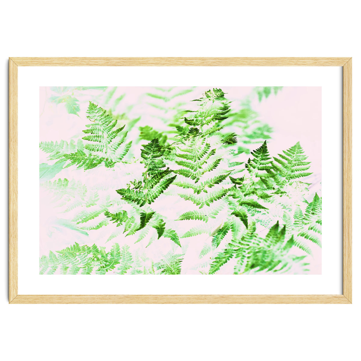 Fern Forest #society6 #decor #buyart