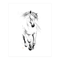 Runninh Ghorse In Water (Print Only)