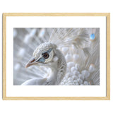 Close-up of a White Peacock thumbnail