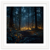 Enchanted Midnight Forest with Glowing Fireflies