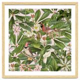 Tropical Bird Garden thumbnail