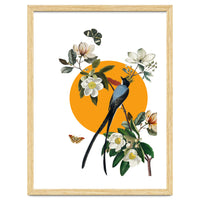 collage floral birds