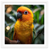Sun Conure Parrot Colorful Bird Perched On Branch thumbnail