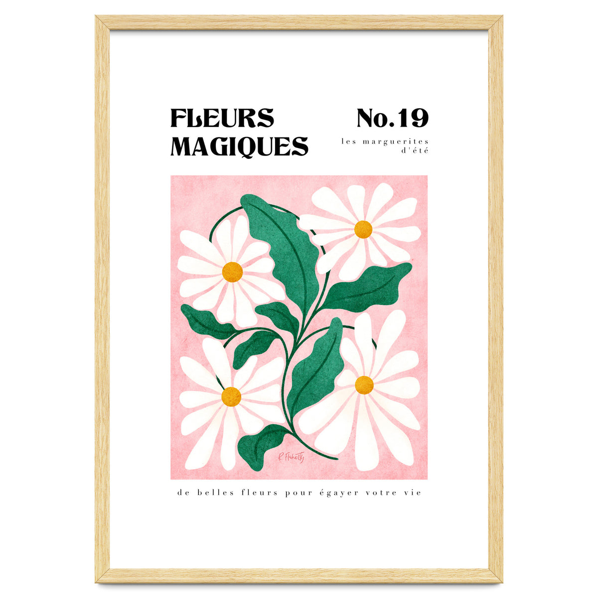 Magical Flowers No.19 Summer Daisies