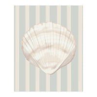 Sea shell (Print Only)