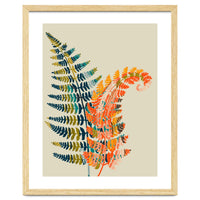 Colorful Fern Leaves