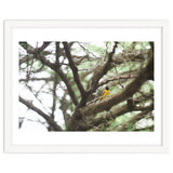 Mini sun thumbnail