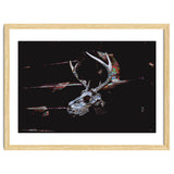 Deer Skull thumbnail