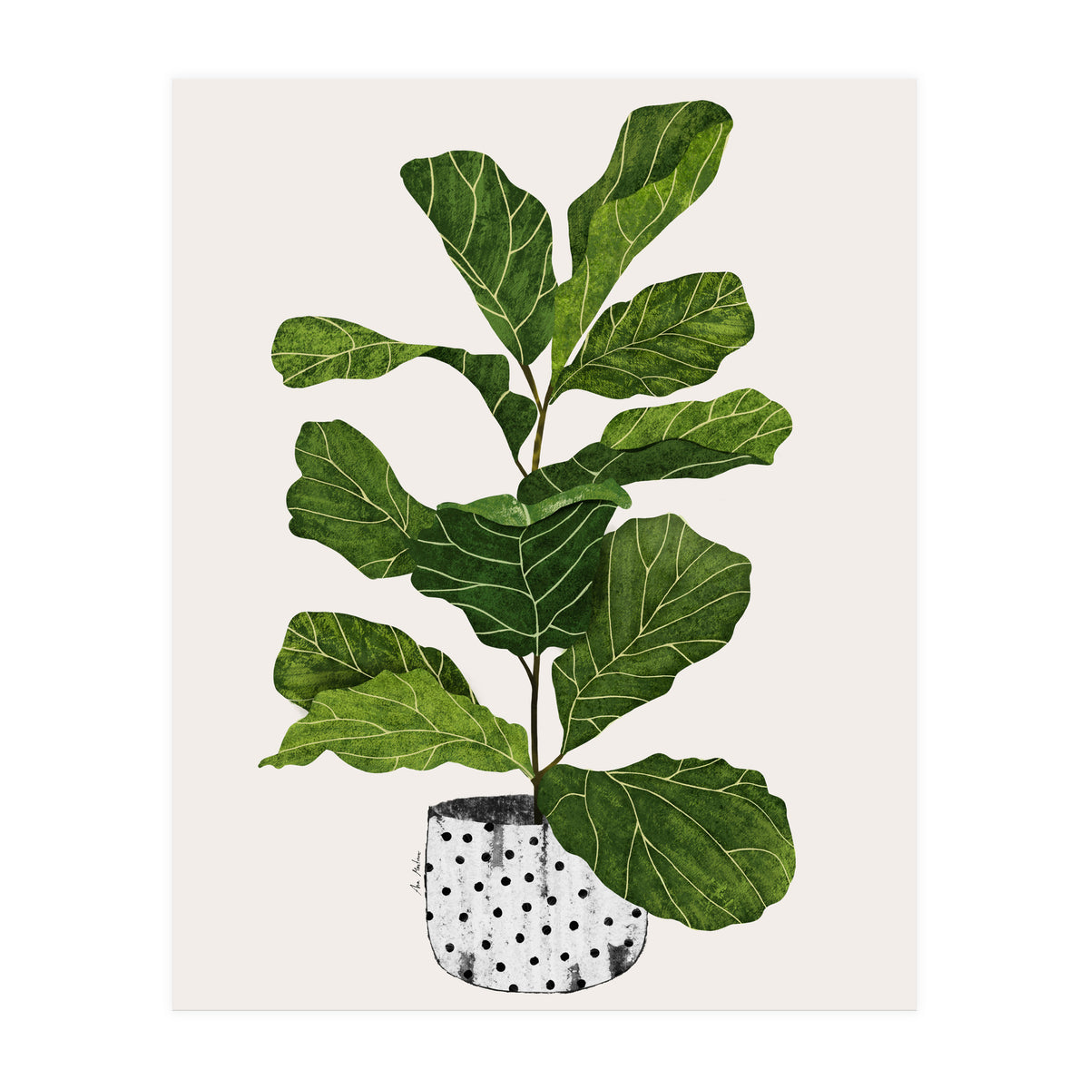 Fiddle Leaf Fig Tree Plant (Print Only)