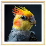 Cockatiel Parrot Bird Head thumbnail