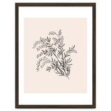 Acacia Botanical illustration thumbnail