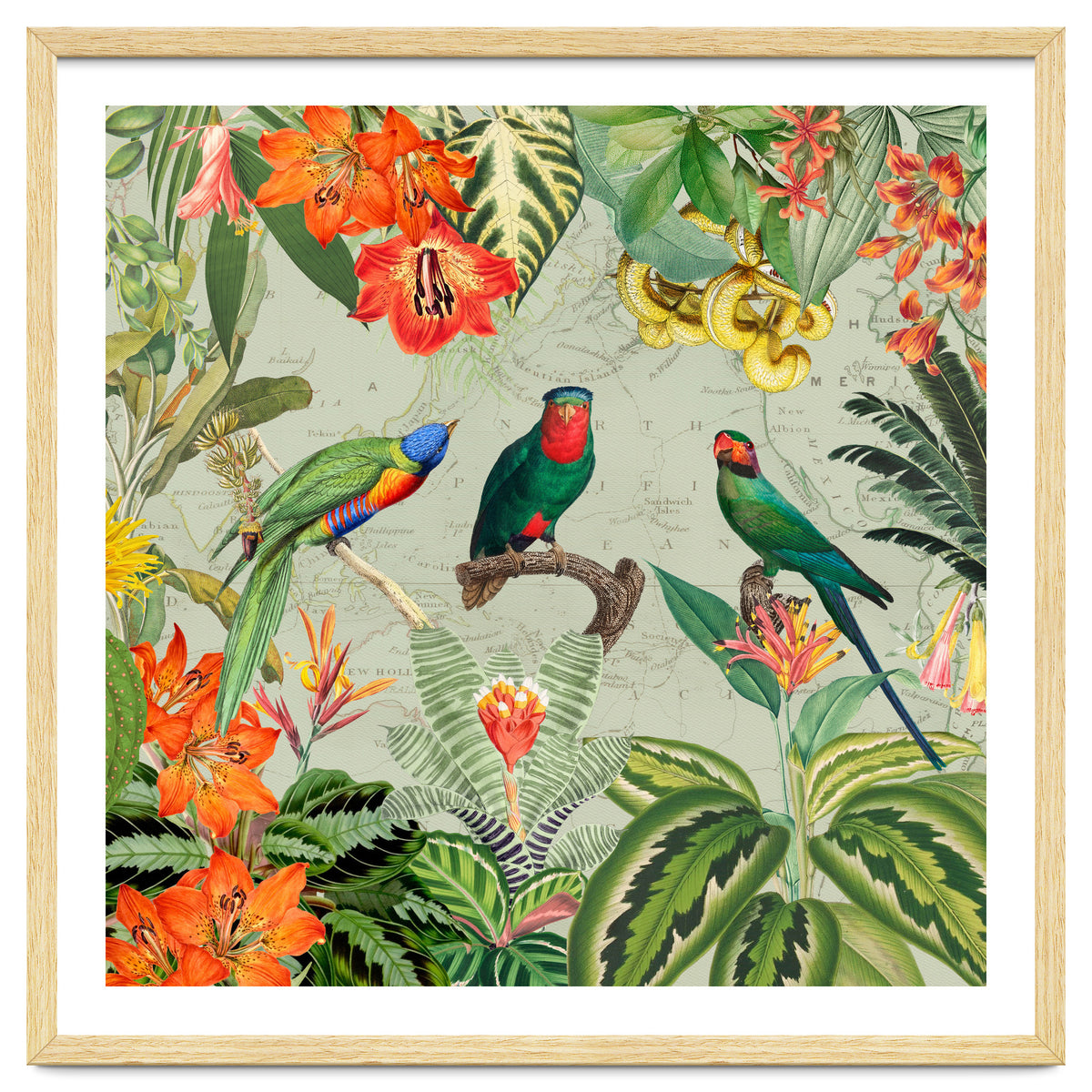 Exotic Parrots Jungle Landscape