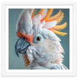 Salmon Crested Cockatoo Close Up Portrait thumbnail
