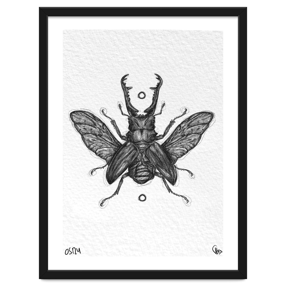 Giraffen Hirschkäfer