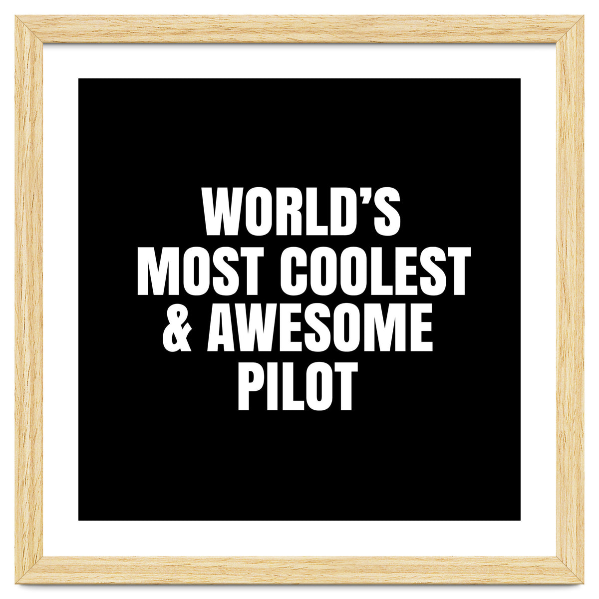 World's most coolest and awesome pilot