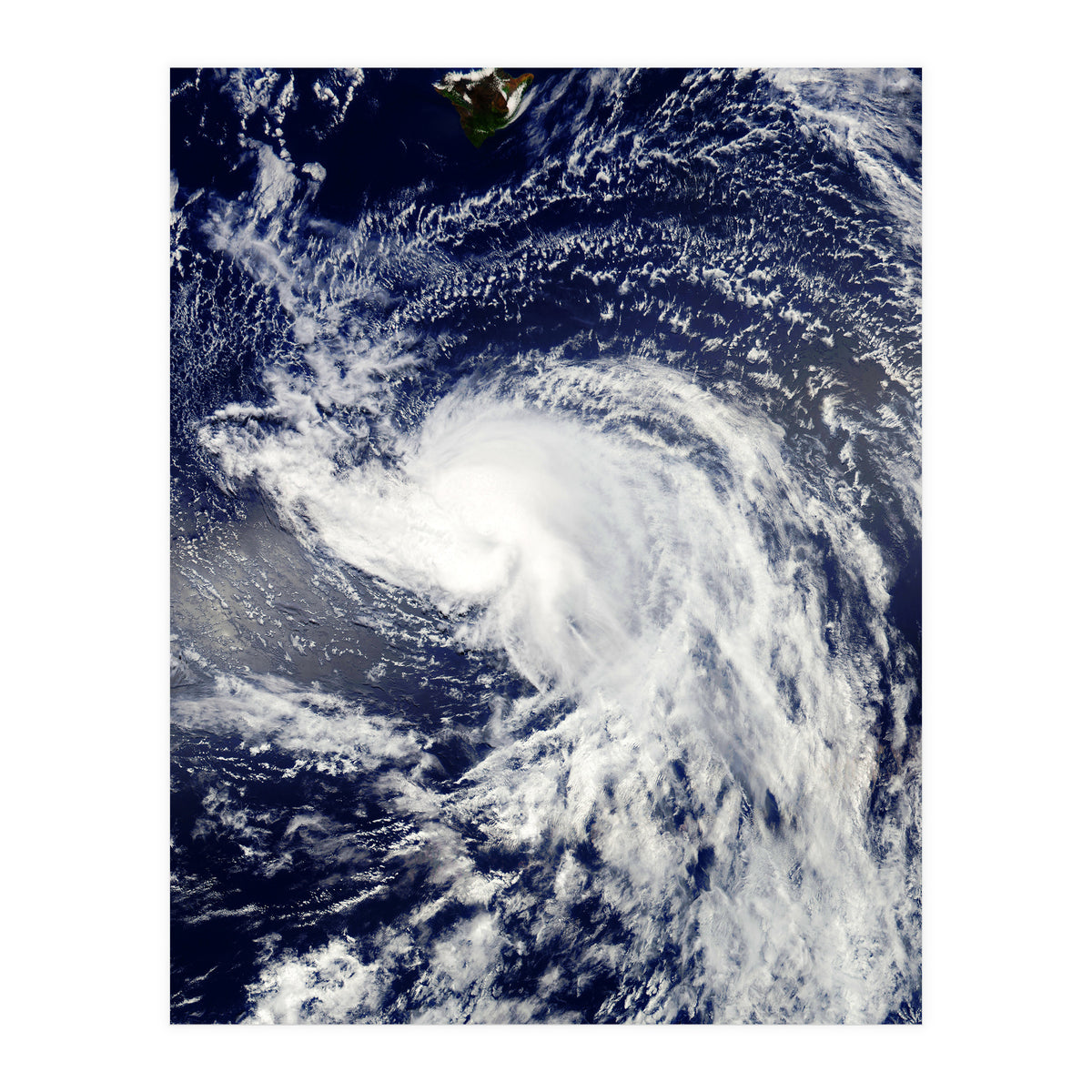 Sea Of Hearts (Print Only)