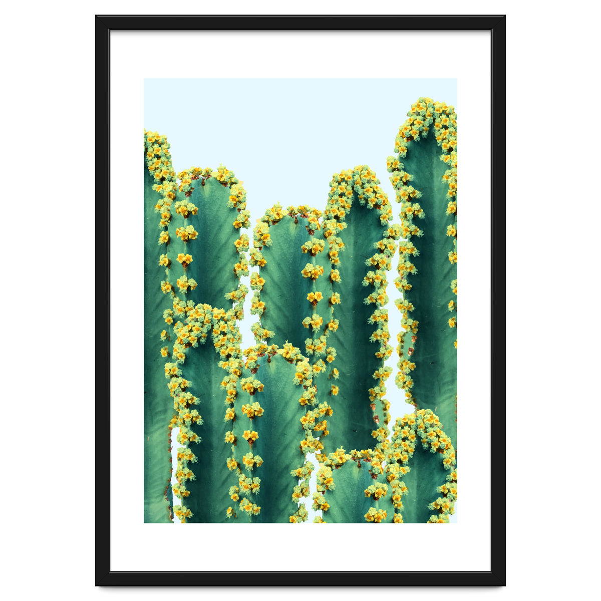 Adorned Cactus #society6 #artprints #buyart