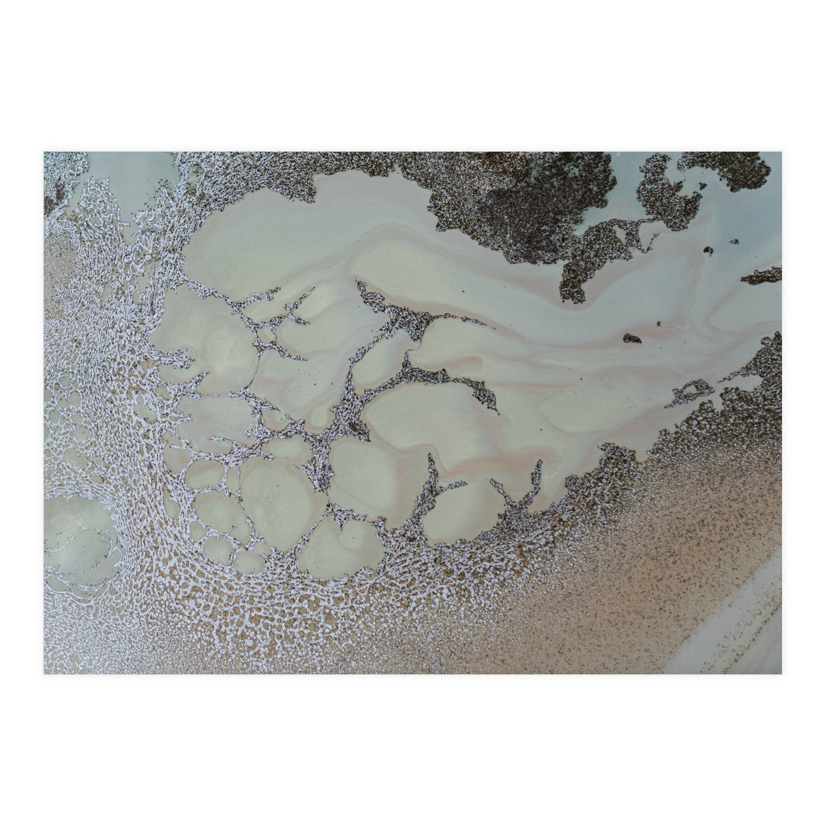 Shifting (Print Only)