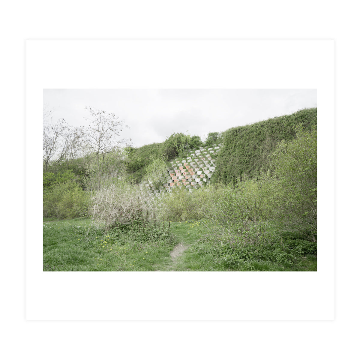 Green grass wall (Print Only)