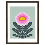 Chrysanthemum - turquoise and pink thumbnail