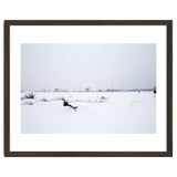 Drinking fountain covered with snow thumbnail