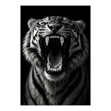 Roaring Tiger portrait  (Print Only) thumbnail