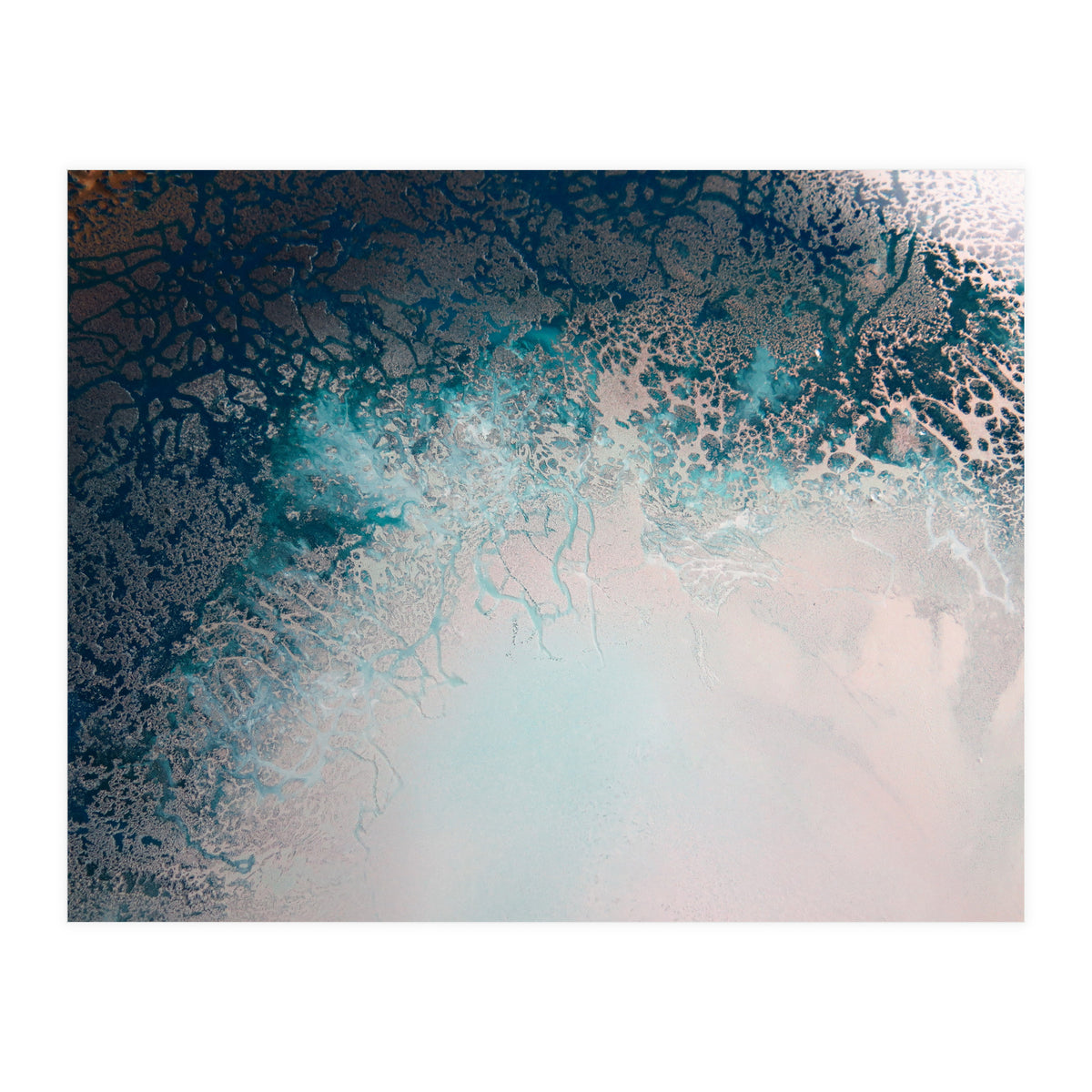 Flourish (Print Only)