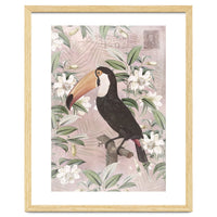Exotic Bird Toucan