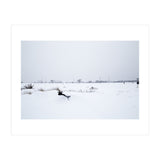 Drinking fountain covered with snow (Print Only) thumbnail