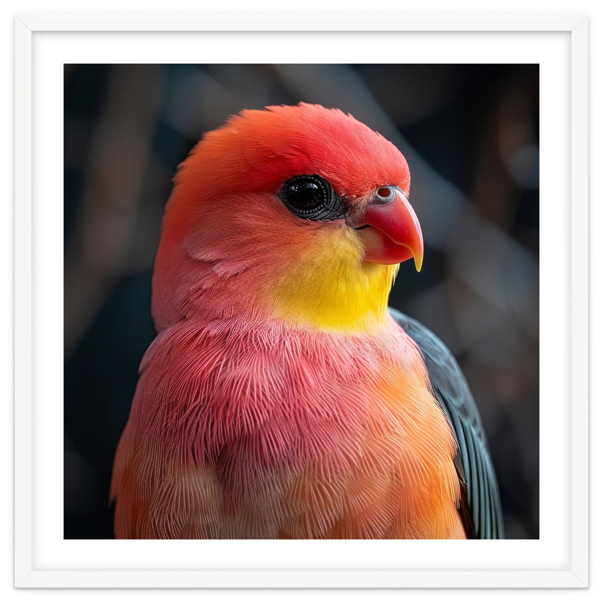 Vibrant Tropical Bird