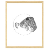 The Fascinating Cuttlefish thumbnail
