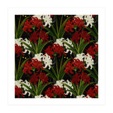 Red and White Spider Lily Flower Print Elegant Botanical Japanese Inspired Floral Artwork (Print Only) thumbnail