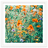 Eva | Nature Floral Meadow Garden | Photography Botanical Spring Bohemian Flowers thumbnail
