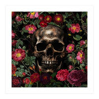 Baroque  Skull And Roses Night Garden 1 (Print Only)