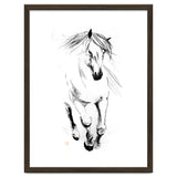 Runninh Ghorse In Water thumbnail