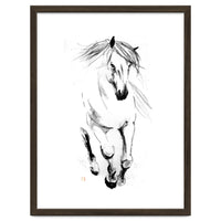 Runninh Ghorse In Water