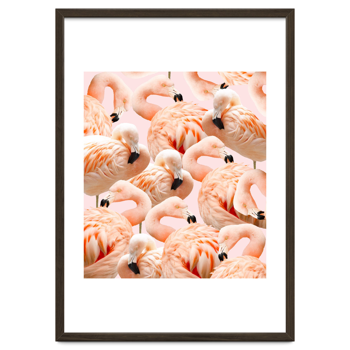 Flamingo Blush #society6 #decor #buyart #flamingoart