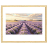 Provençal Sunset: Lavender Field Landscape thumbnail