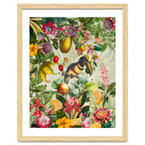 Toucan vintage jungle thumbnail