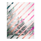 Snow Angel (Print Only) thumbnail
