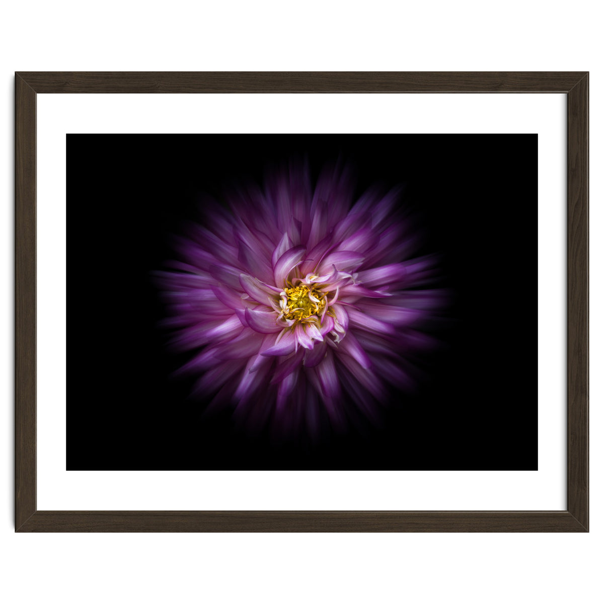 Backyard Flowers No 20 Color Flow Version