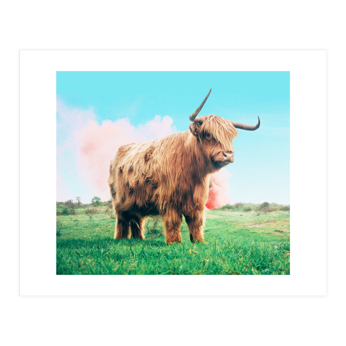 Highland Cow #society6 #decor #buyart (Print Only)
