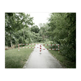 Entrance to the green park (Print Only) thumbnail