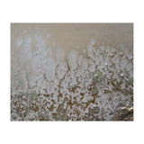 Lifted (Print Only) thumbnail