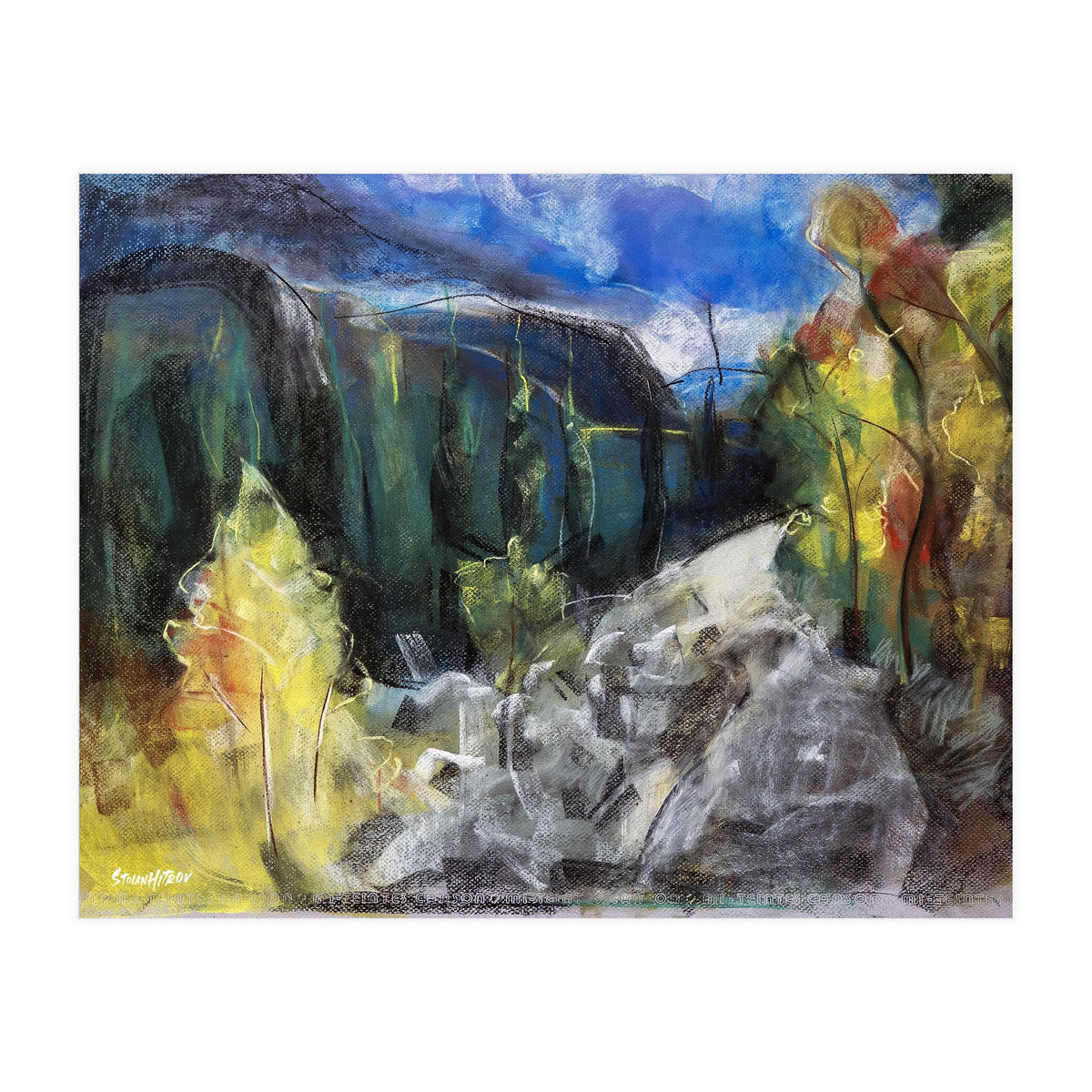 The Forest of Rila Mountain (Print Only)