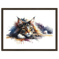 Maine Coon Resting Portrait