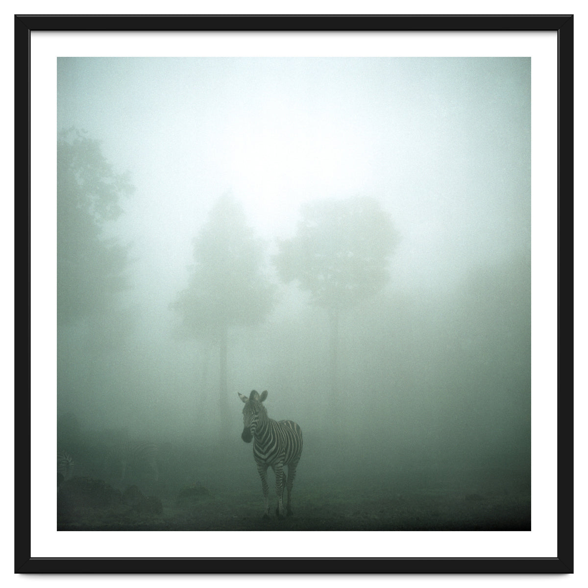 Silence of breath - 01