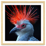 Secretary Bird thumbnail