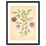 Vintage Fruits thumbnail