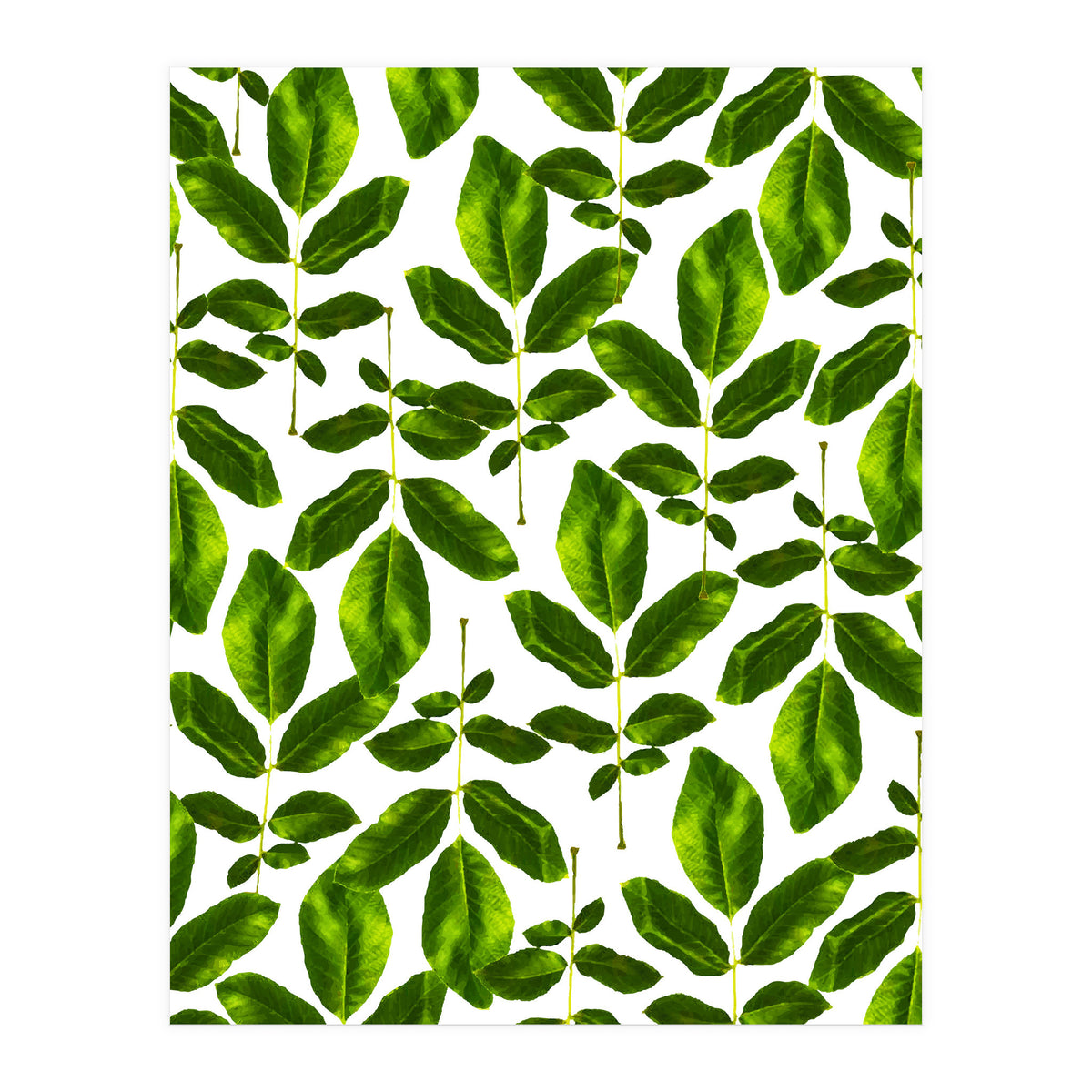 Natural Cure #society6 #decor #buyart (Print Only)